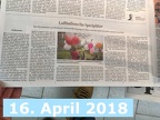 2018-04-16 20-13-47 - weissenseespiel.de - IMG 6859