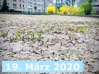 2020-03-19 13-16-15 - weissenseespiel.de - IMG 5611